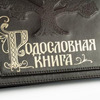 Родословная книга (кожа)