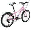 Детский велосипед Welt Floxy 20 R, год 2024, цвет Розовый