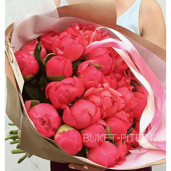 Букет Коралловых Пионов №21