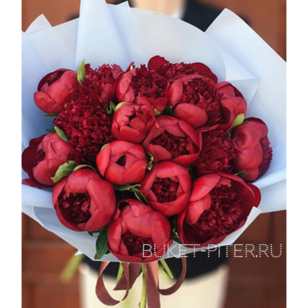Букет Бордовых Пионов №11