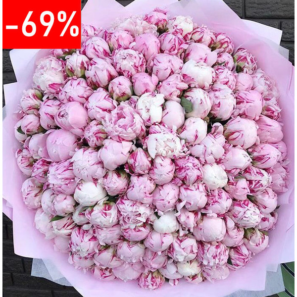 101 Розовый Пион в Упаковке