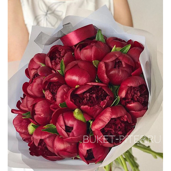 Букет Бордовых Пионов №12