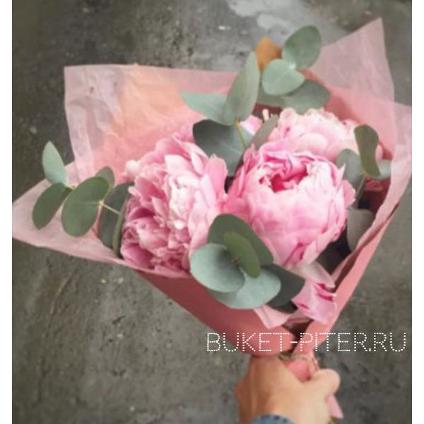 Букет Розовых Пионов №24