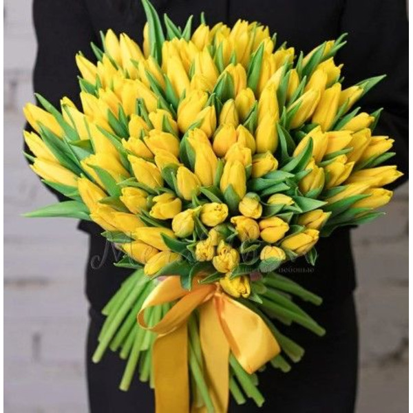 Букет из 101 Желтого Тюльпана в Атласной ленте