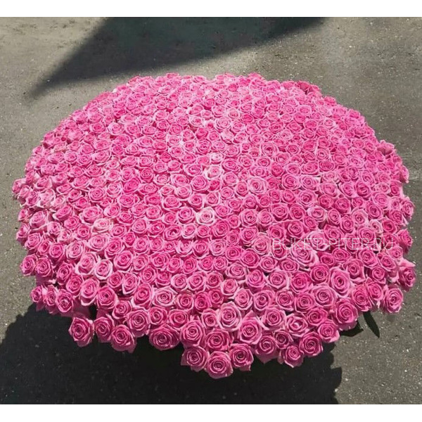 1001 Розовая Роза в Корзине