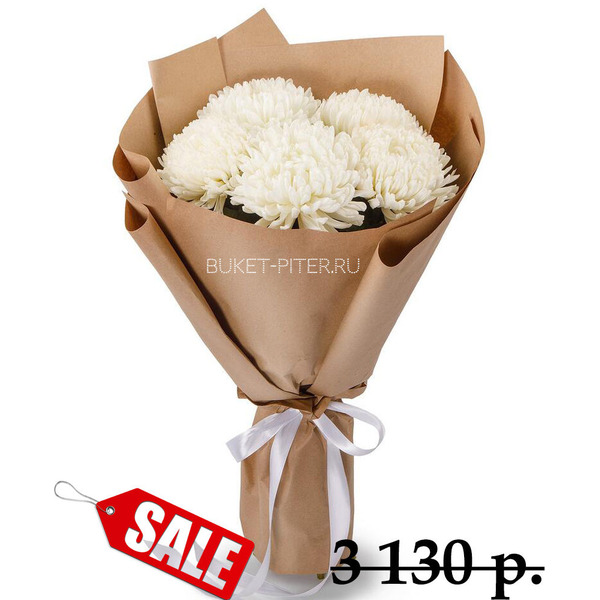 Хризантемы Белые Крупные в Упаковке