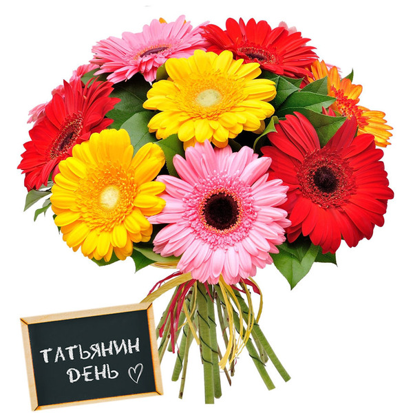 Букет Разноцветных Гербер с Зеленью