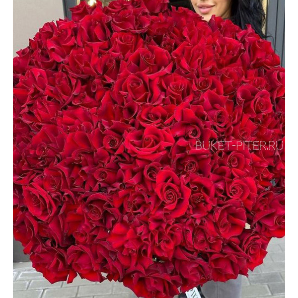 Большой букет из Красных Французских Роз
