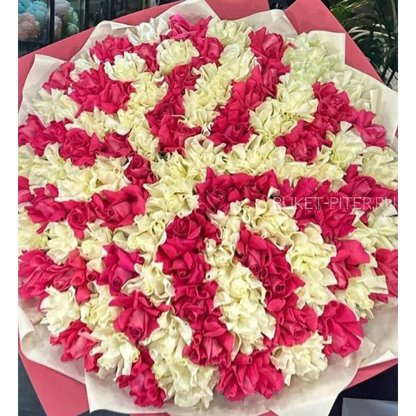 Большой Букет из Белых и Малиновых Французских Роз