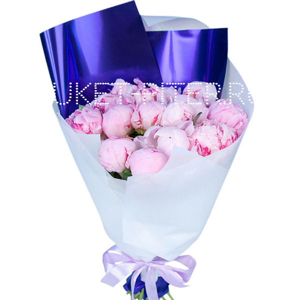 Пионы Нежно-розовые в упаковке