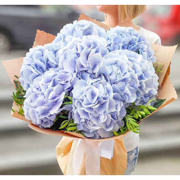 Голубые Гортензии в Оформлении