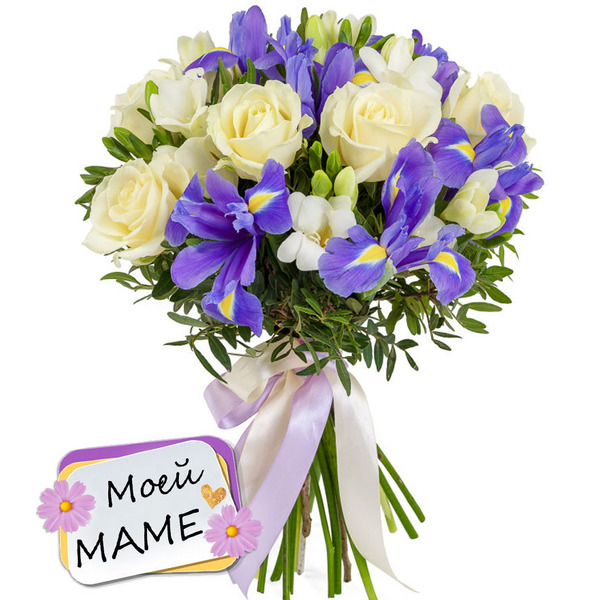 Букет Белых Фрезий, Роз и Синих Ирисов