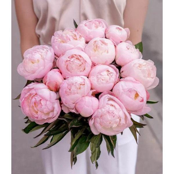 Букет из 15 Розовых Пионов в Атласной ленте