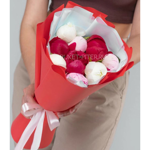 Букет из 17 Розовых, Белых и Бордовых Пионов в Матовой упаковке LUX