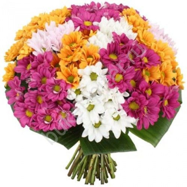 Букет из 21 хризантемы и зелени