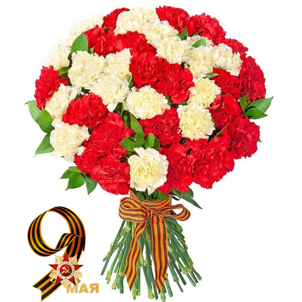 Букет Красных и Белых Гвоздик в Ленте