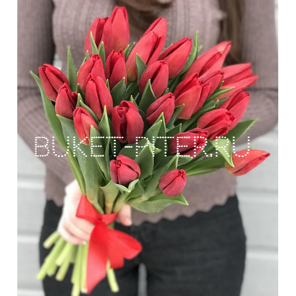 Букет из Красных Тюльпанов в Красной атласной ленте