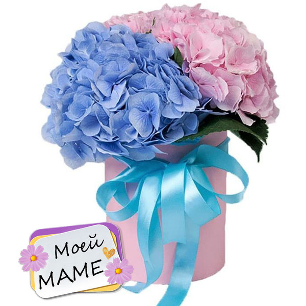 Коробочка с Гортензиями