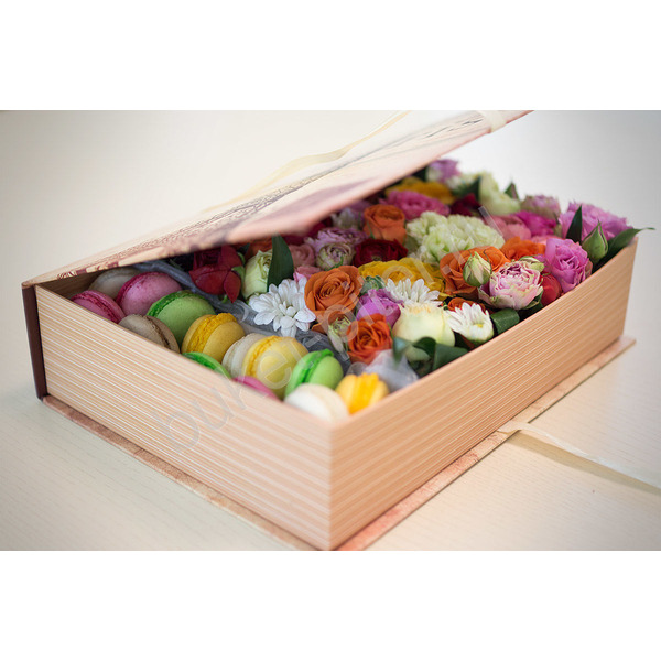 Макаронс в книжке