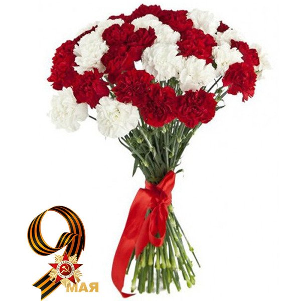 Букет из Белой и Красной Гвоздики в Атласной Ленте