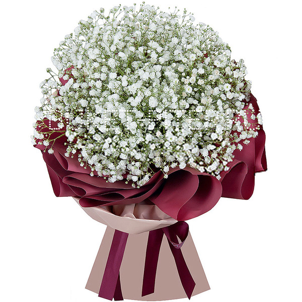 Букет Белой Гипсофилы в Матовой упаковке