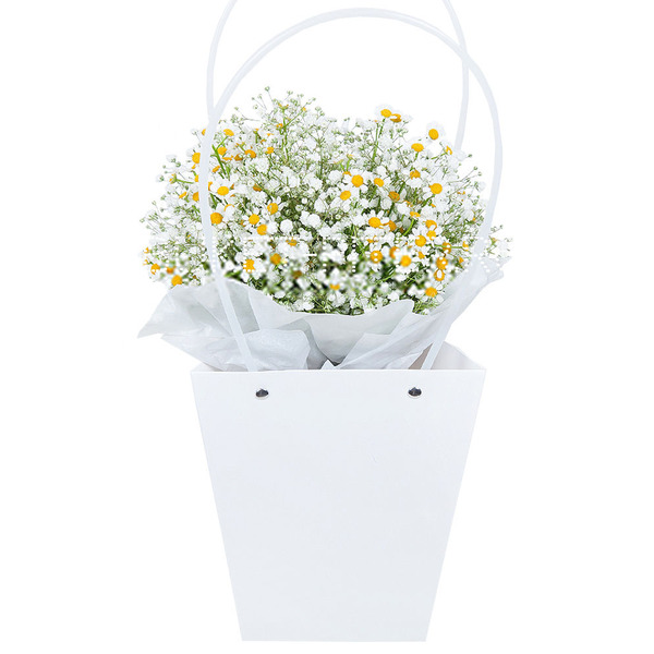 Букет Кустовых Ромашек и Гипсофилы в Плайм-пакете