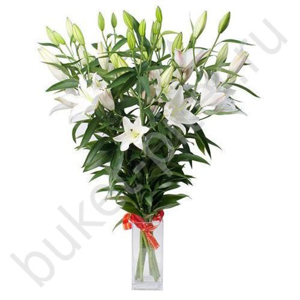 Букет из 9 лилий белых