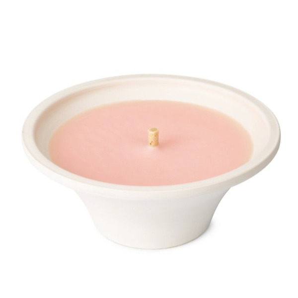 SPAAS Свеча в терракотовой чаше Цитронелла Летние цветы 1