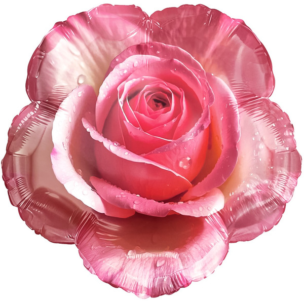 Шар (18"/46 см) Фигура, Утренняя роза, 1 шт.