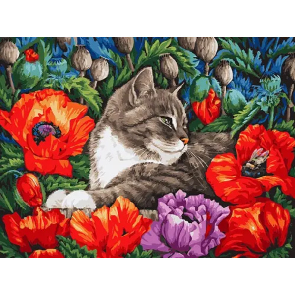 Живопись на холсте. Кот в маках, 30x40 см