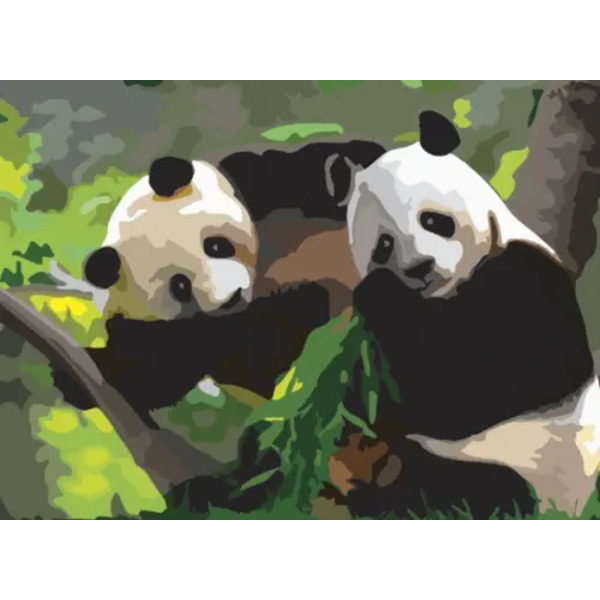 Картина по номерам с акриловыми красками. Панды, А3