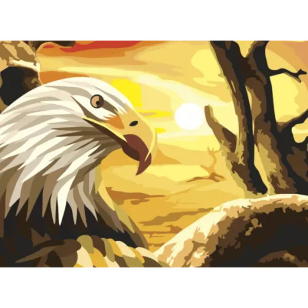 Картина по номерам с акриловыми красками. Орел, А3