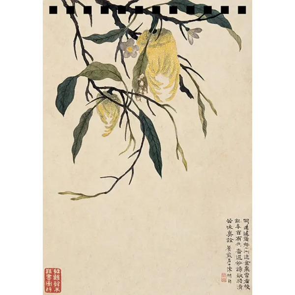 Блокнот. Желтые плоды Рука Будды, 28 листов