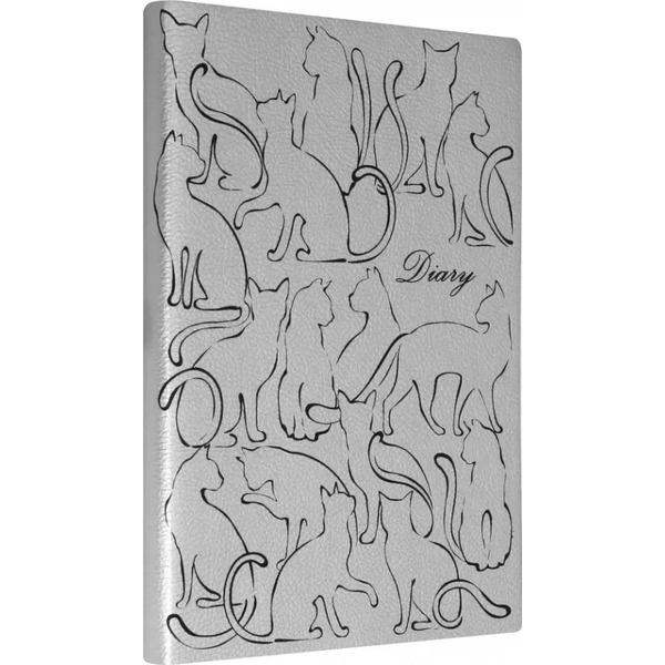 Ежедневник недатированный. Наппа, А5, 120 листов, серебряный