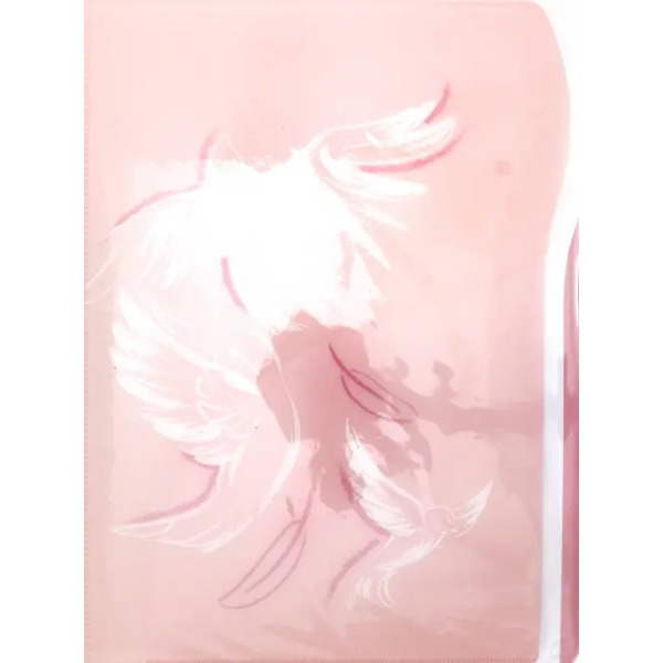 Папка для документов. Птицы, A4