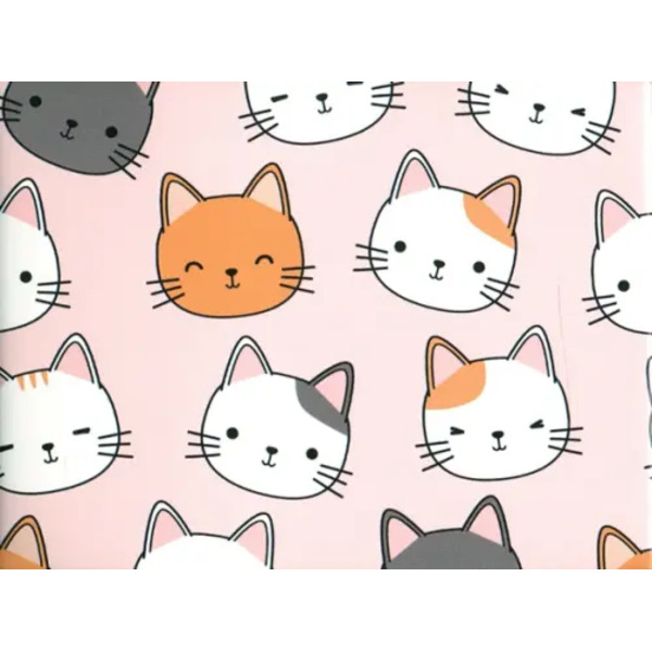 Обложка для студенческого "Котики"