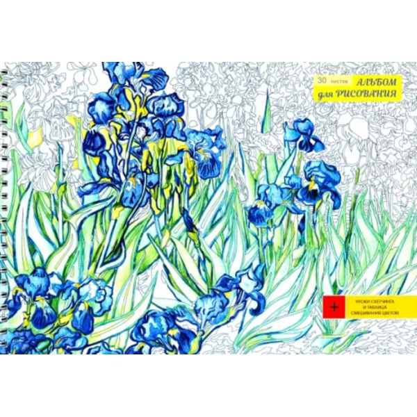 Альбом для рисования. Ирисы, А4, 30 листов