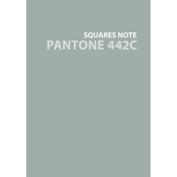 Евротетрадь. Pantone line 442С, А6+, 80 листов, клетка
