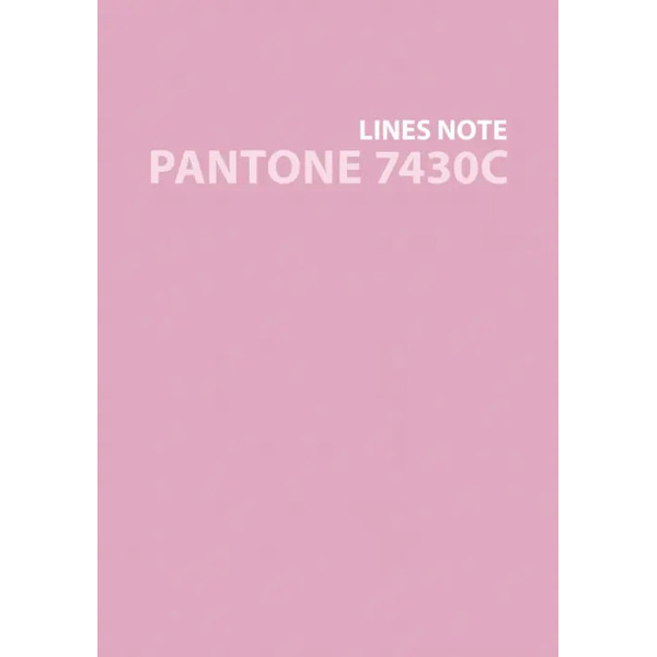 Евротетрадь. Pantone line 7430С, А6+, 80 листов, линия