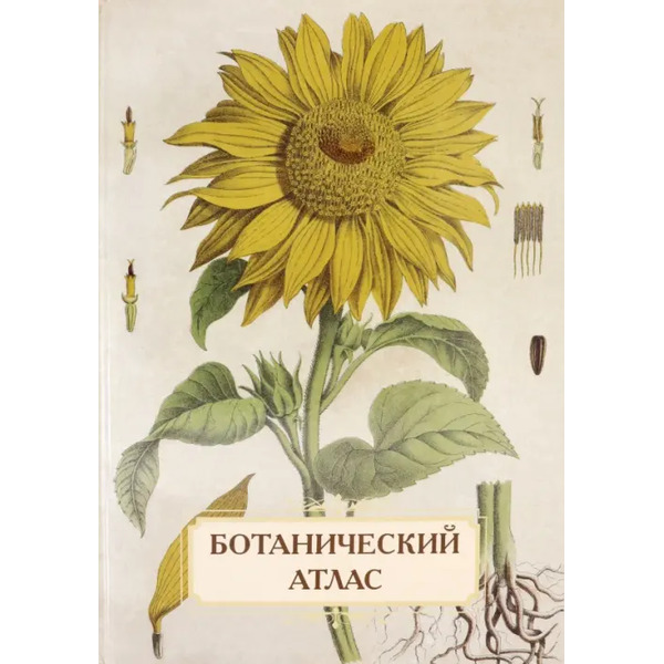 Ботанический атлас. Н.П. Животовский