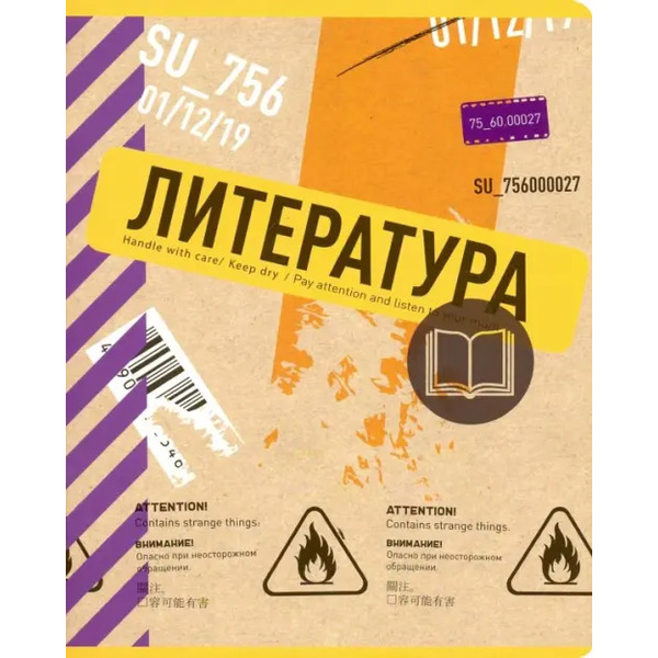 Тетрадь предметная. Box. Литература, А5, 48 листов, линия
