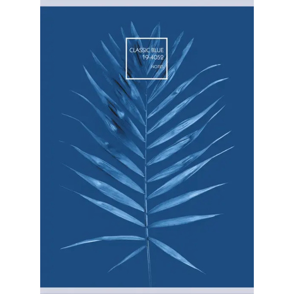 Тетрадь 48 листов, А4, Radiance. Дизайн 2 (ТГ4484759)