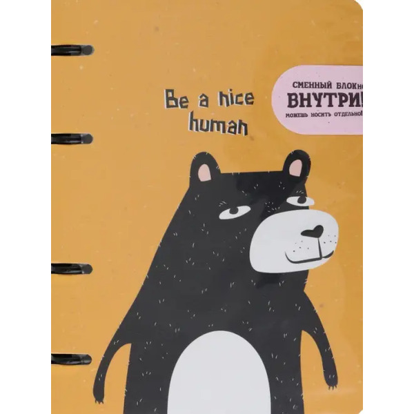 Комплект. Тетрадь и блокнот Silly. Медведь, 80 + 80 листов, клетка