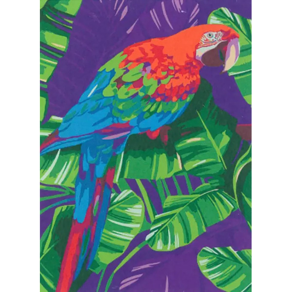 Картина по номерам на холсте с подрамником Попугай