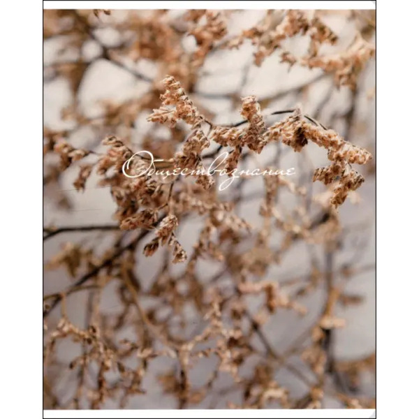 Тетрадь предметная Nude. Обществознание, 48 листов, клетка